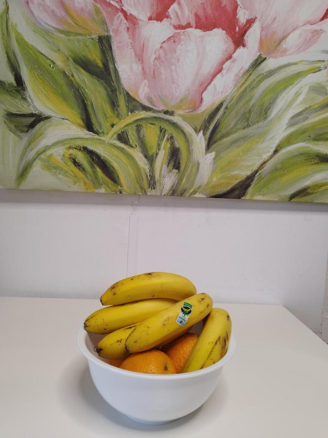 Apartamento Vida Mediterranea Apartment Puerto de la Cruz  Luaran gambar